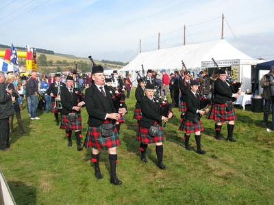 Yetholm Border Shepherd's Show