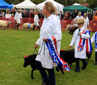 Findon Sheep Fair