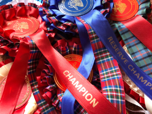 Cardigan County Show