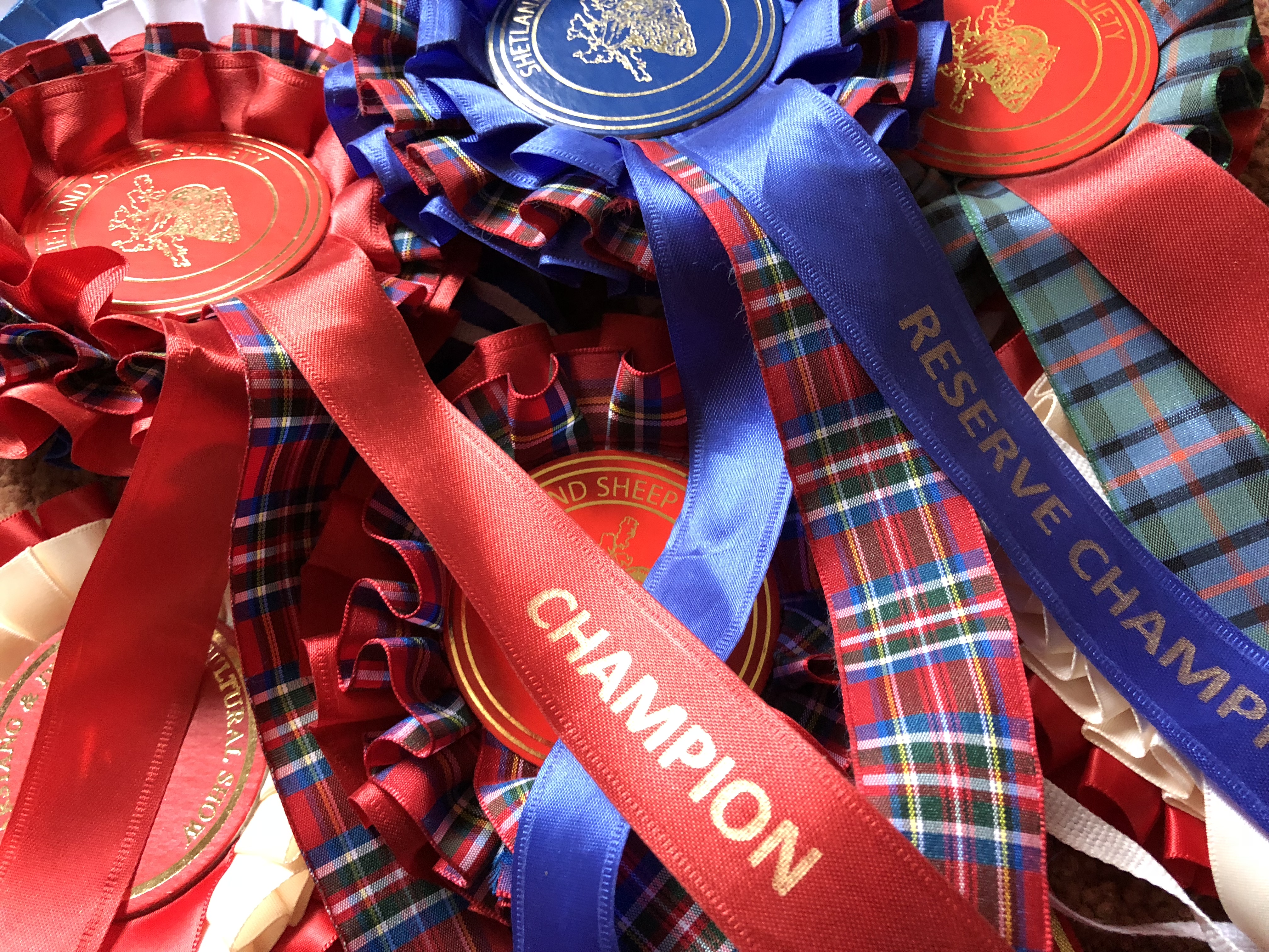 Nottinghamshire County Show