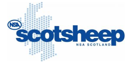 NSA Scotsheep 2022