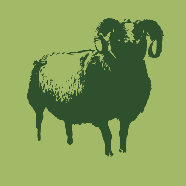 Commercial Shetlands