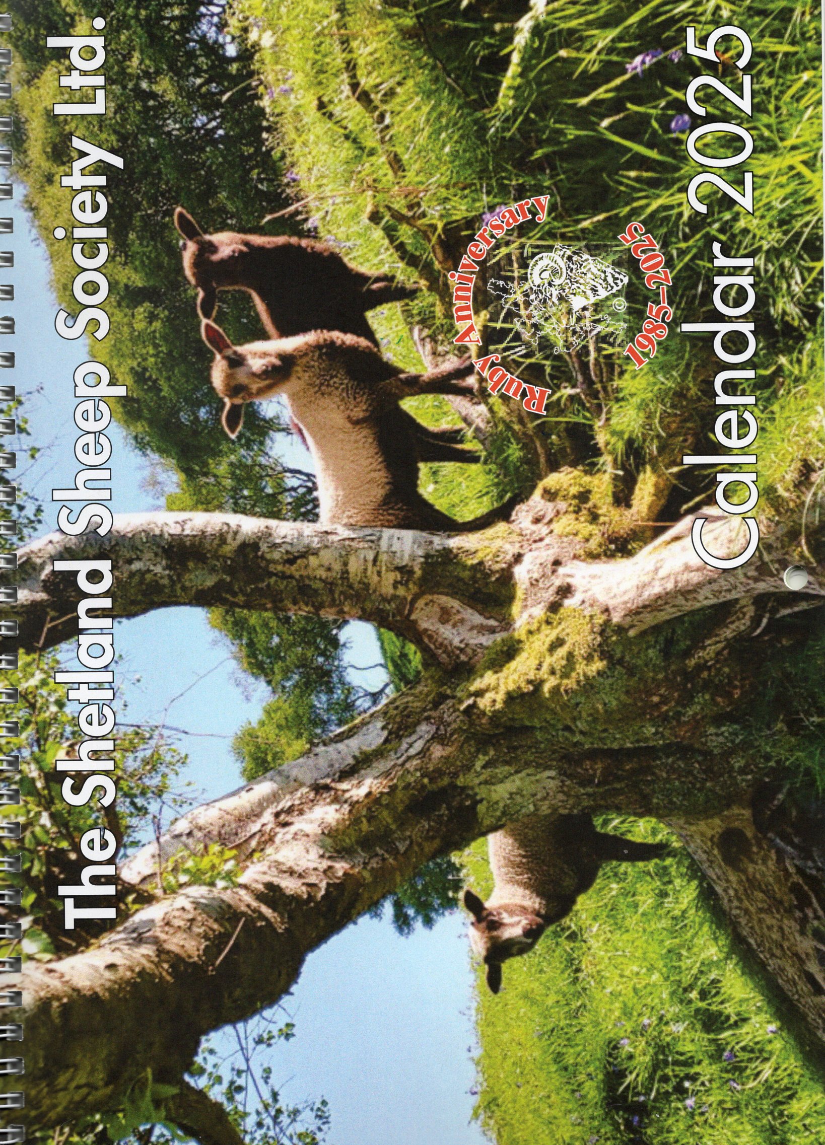 2025 Calendar HALF PRICE SALE