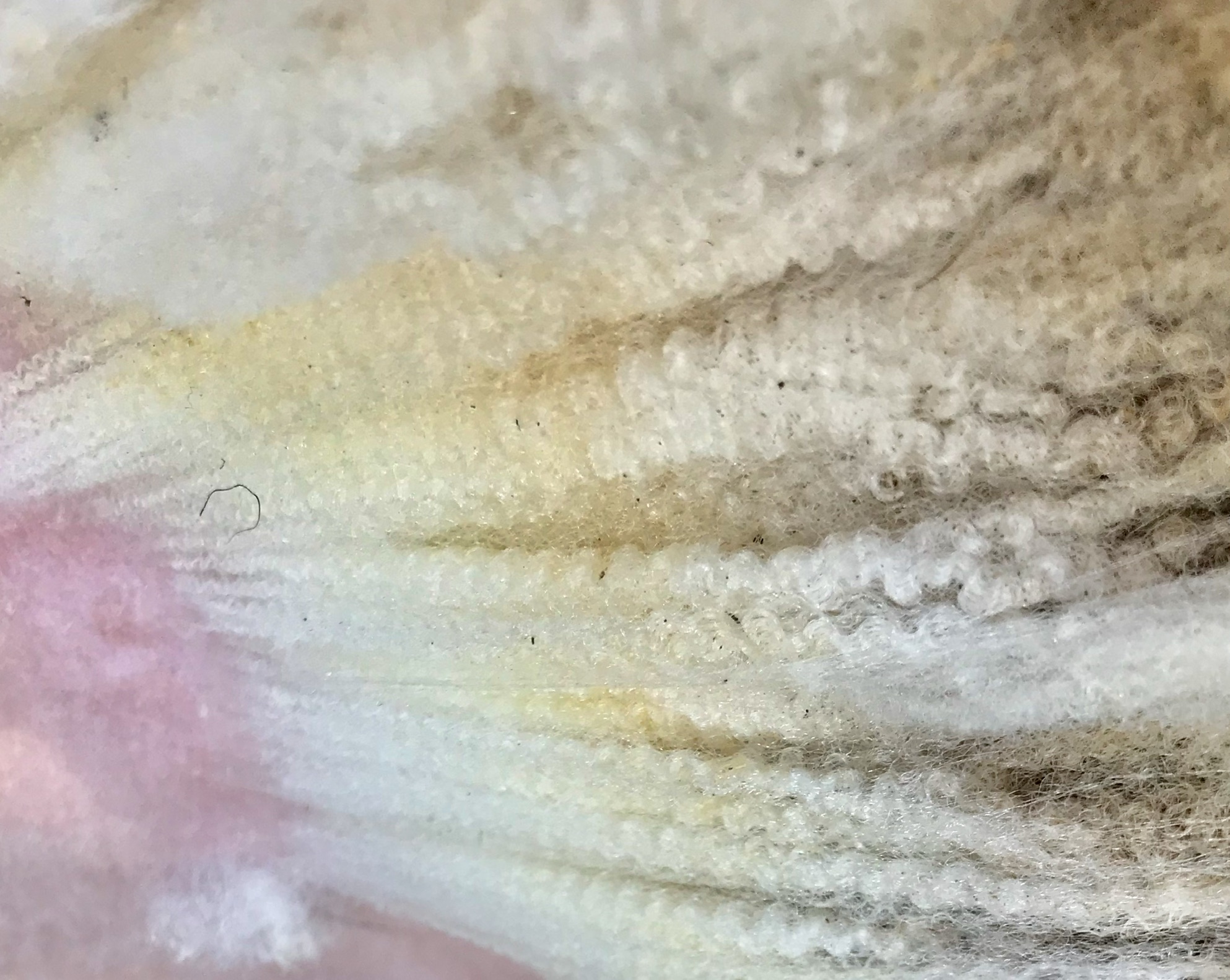 Hardicott Shetland Fleece image 3