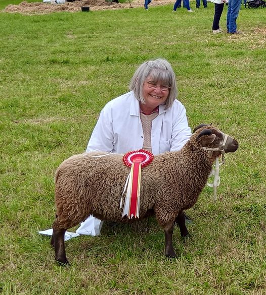 SHETLANDS OF PENLON STOCK FOR SALE image 3