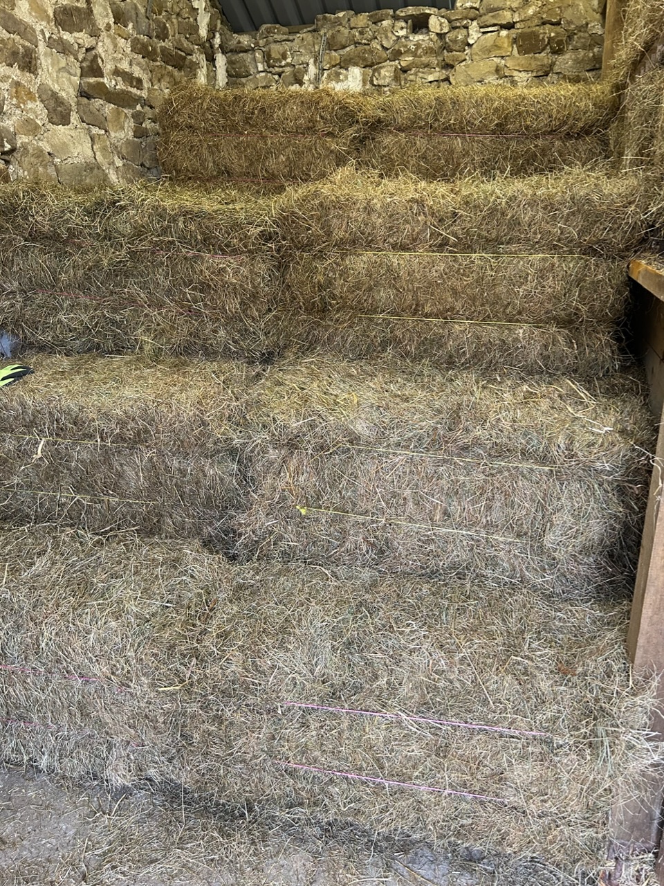 Small Bales of Top Quality Hay 2023 image 1