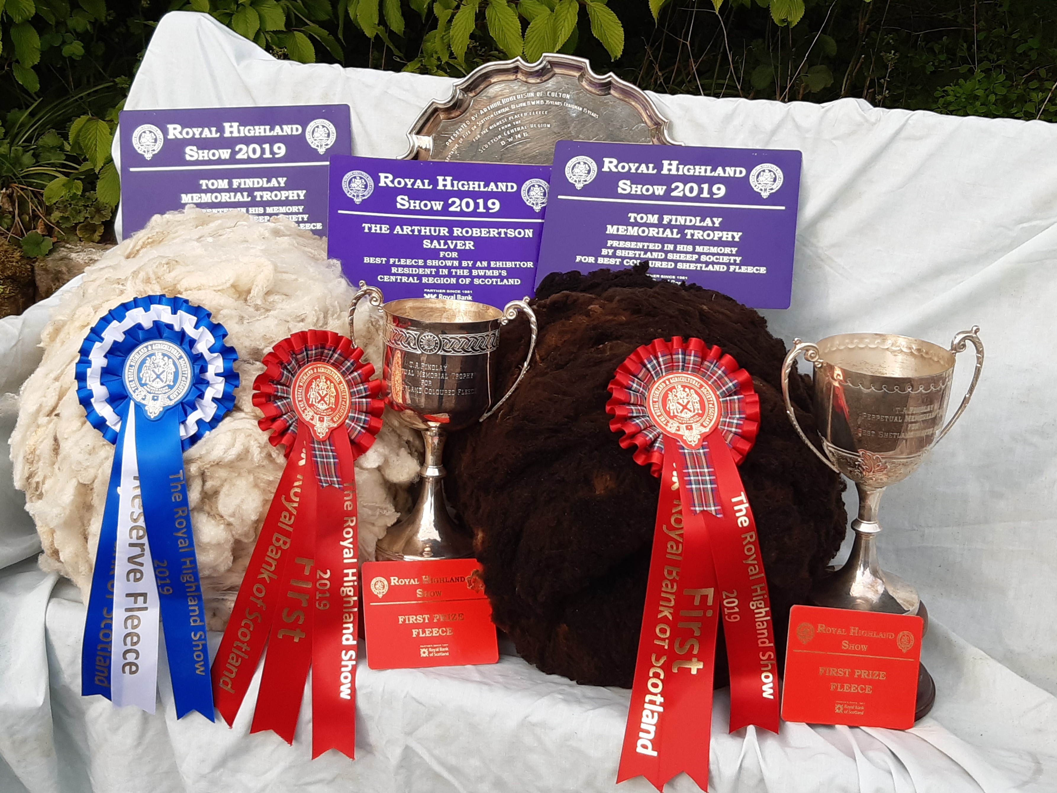 Shetland Fleeces from the award winning