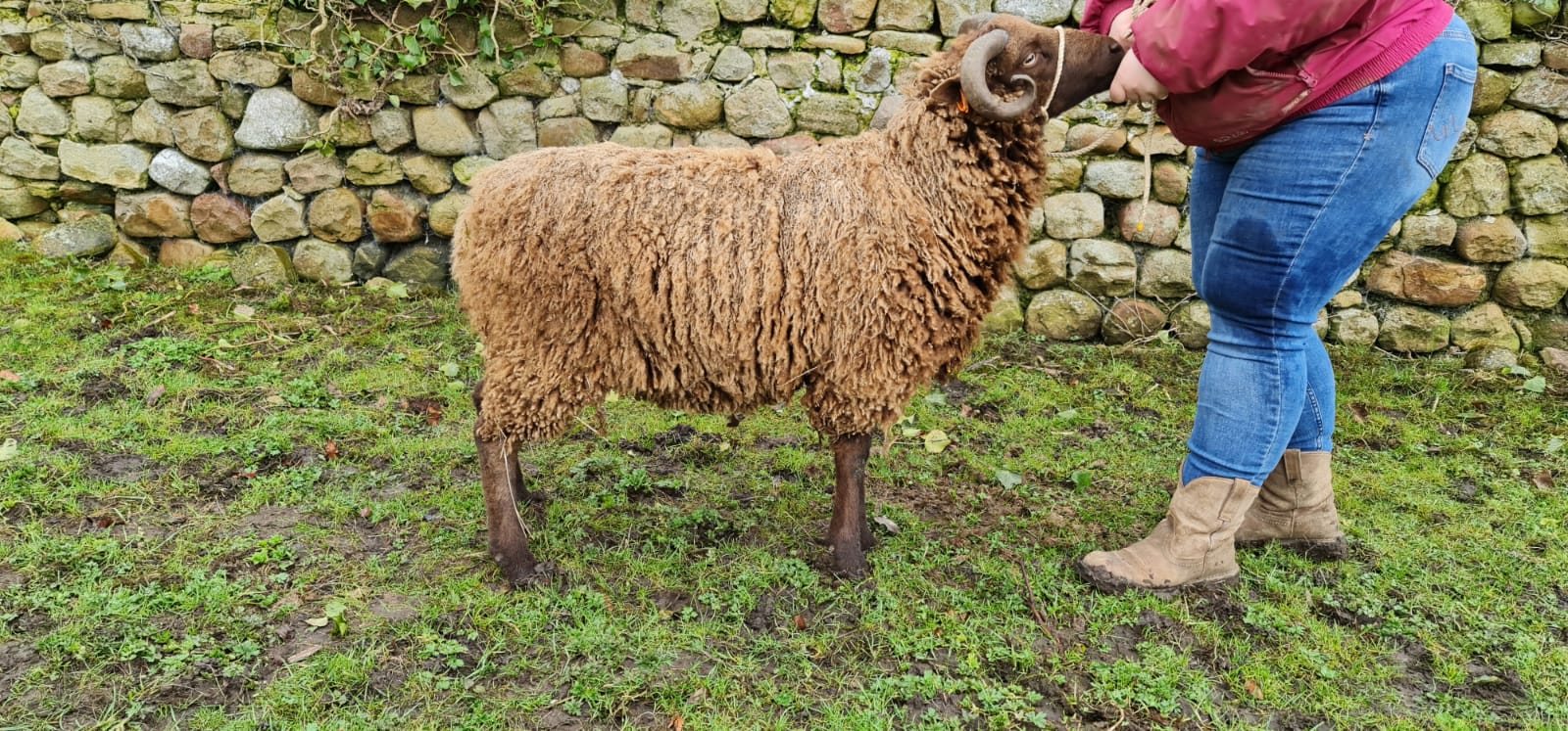 Wainstones Flock image 2