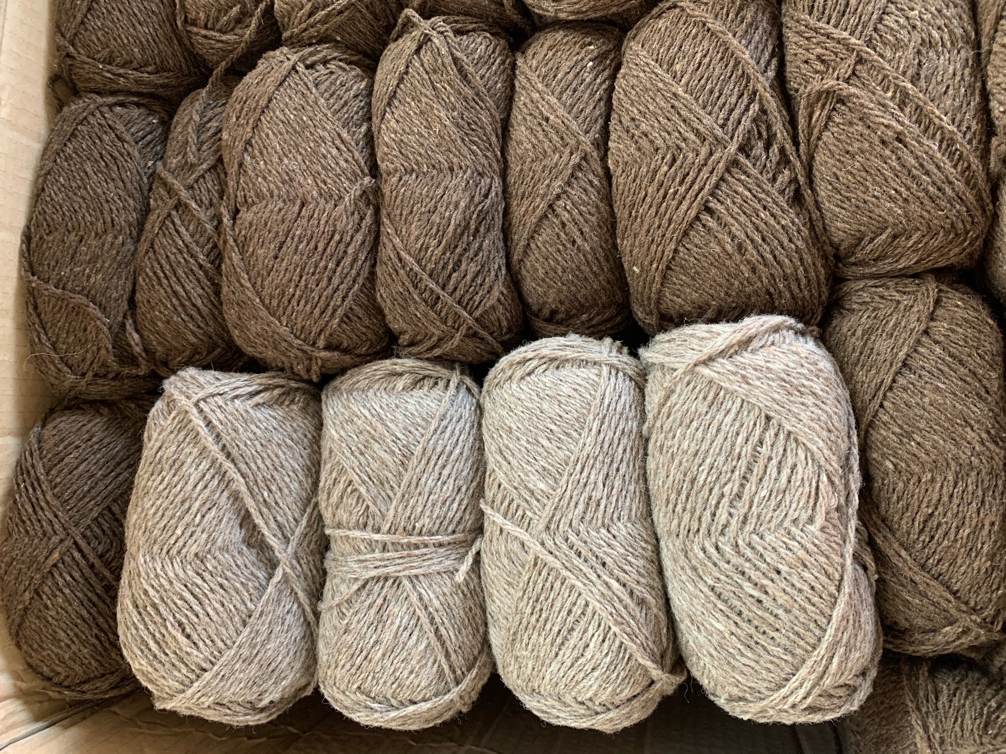 Naturally Coloured Wool image 1