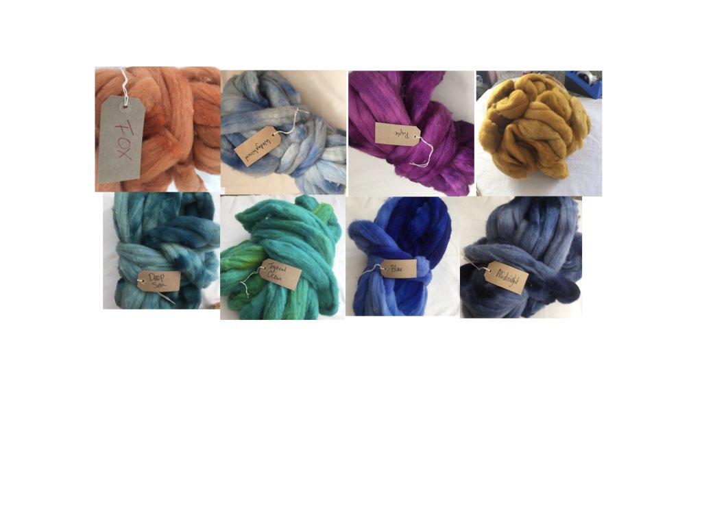 Shetland Fleece and rovings. image 2