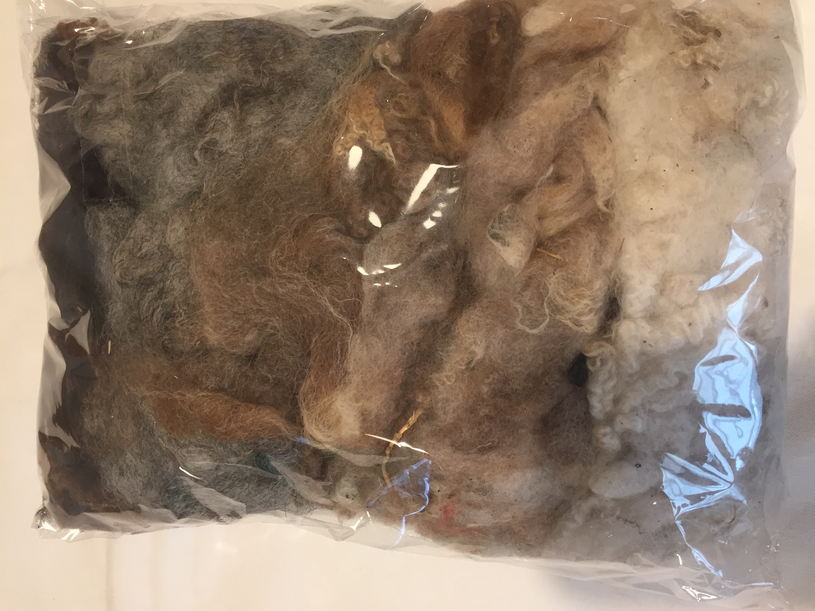 Shetland Fleece and rovings. image 3