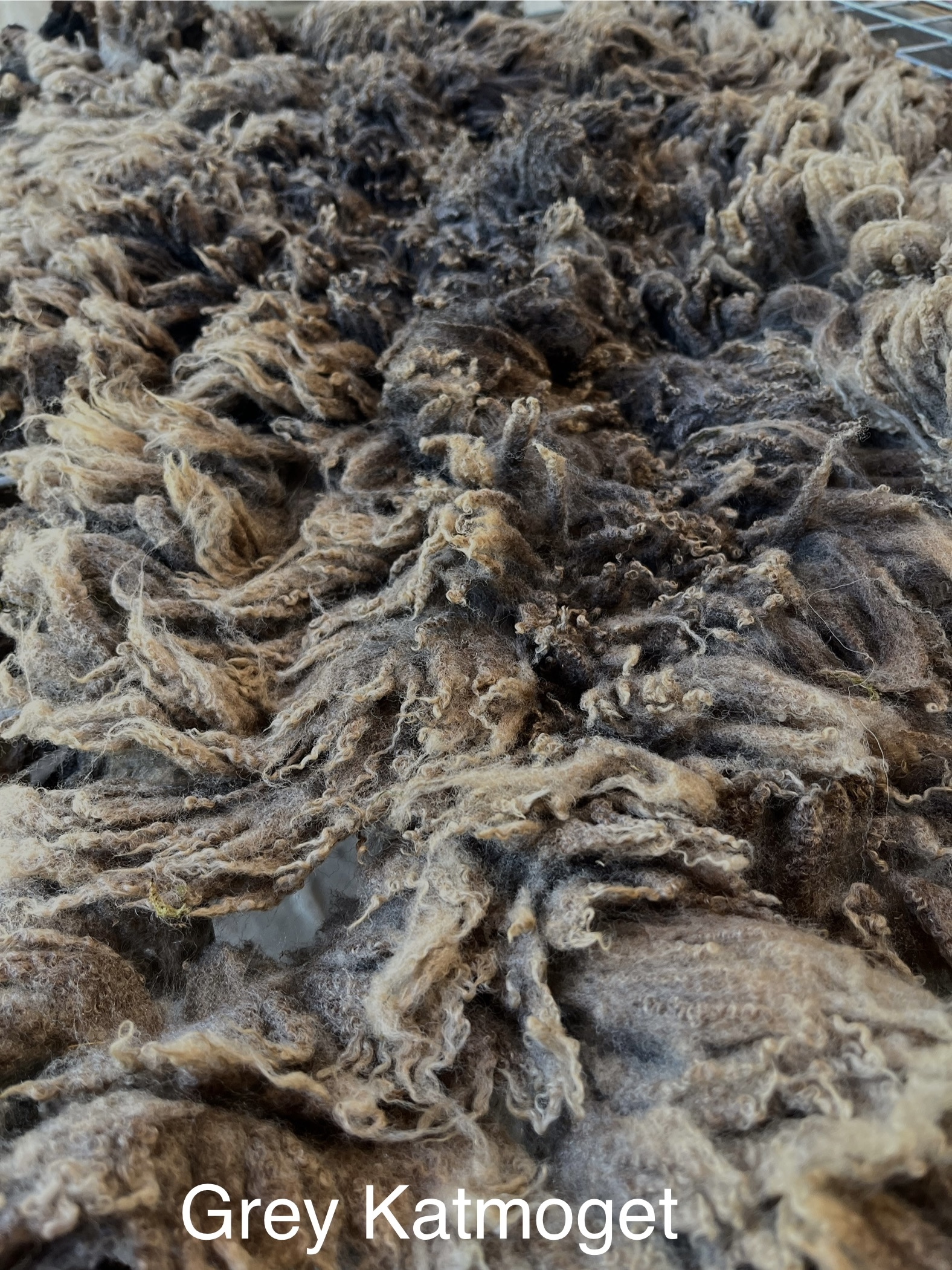 Quality Shetland Fleece image 3