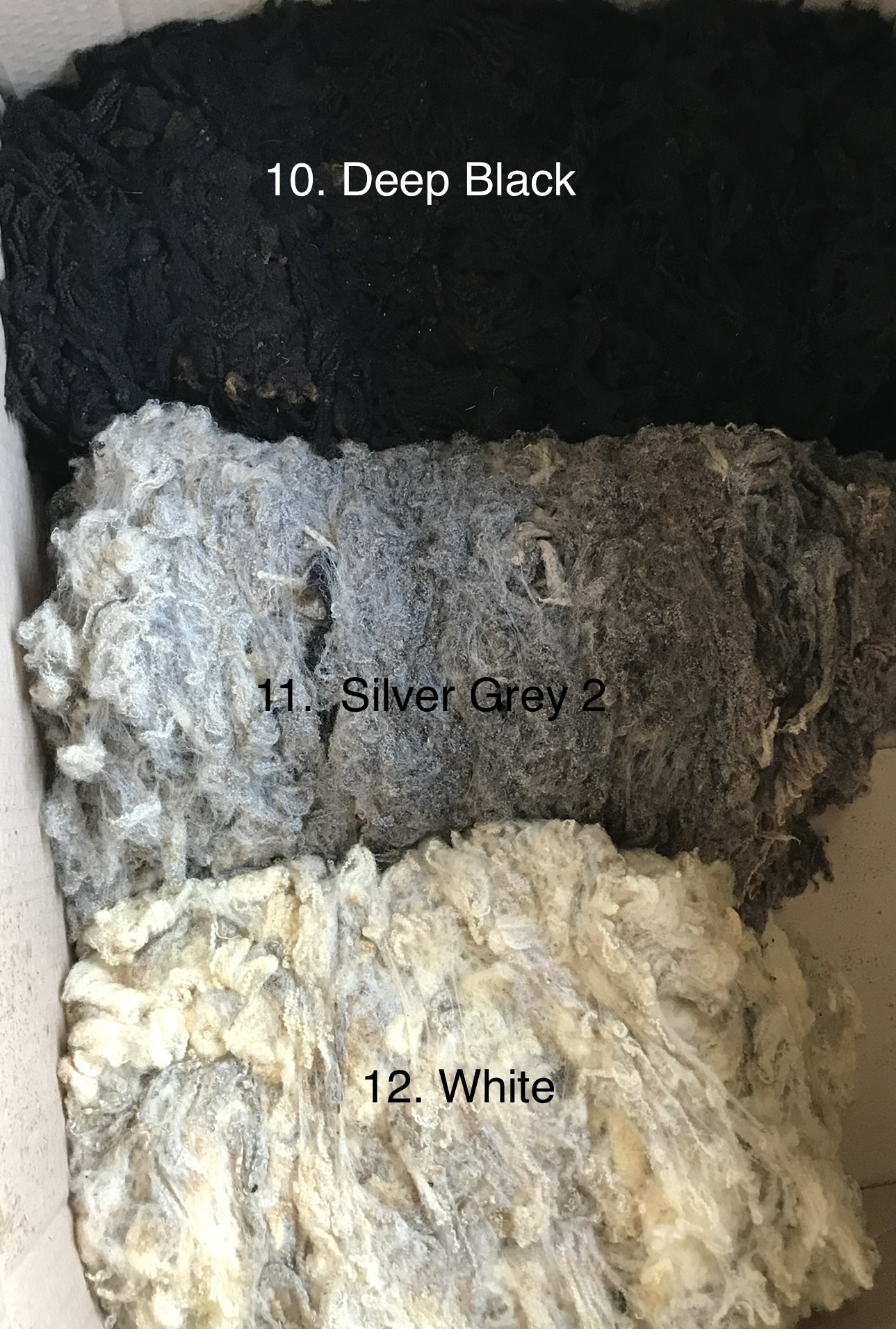 Shetland fleeces image 2