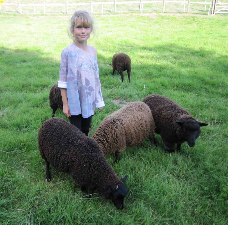 Seaxpenne Flock image 3