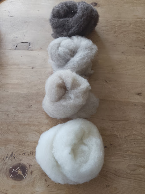 Shetland wool slivers