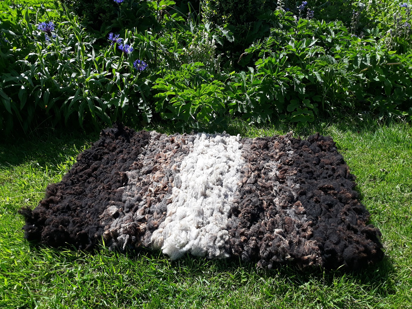 Handmade wool rugs and fleeces for sale - North Cumbria image 2