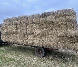 Small bales of hay for sale.